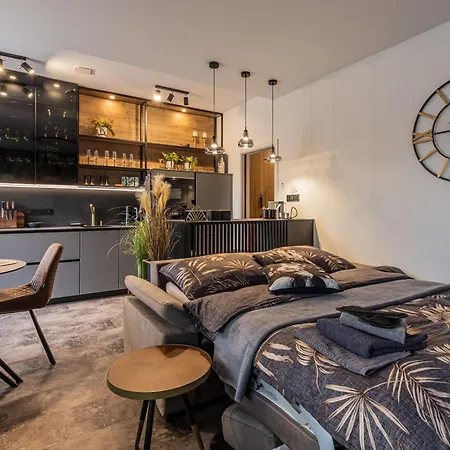 Apartment Dh Terrace And Sauna 2kk - Videnske Terasy 1